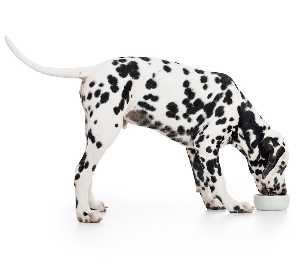 The Gossip Column: November 17, 2023